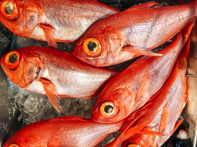 今が旬の魚は？】春夏秋冬の季節の魚一覧40選